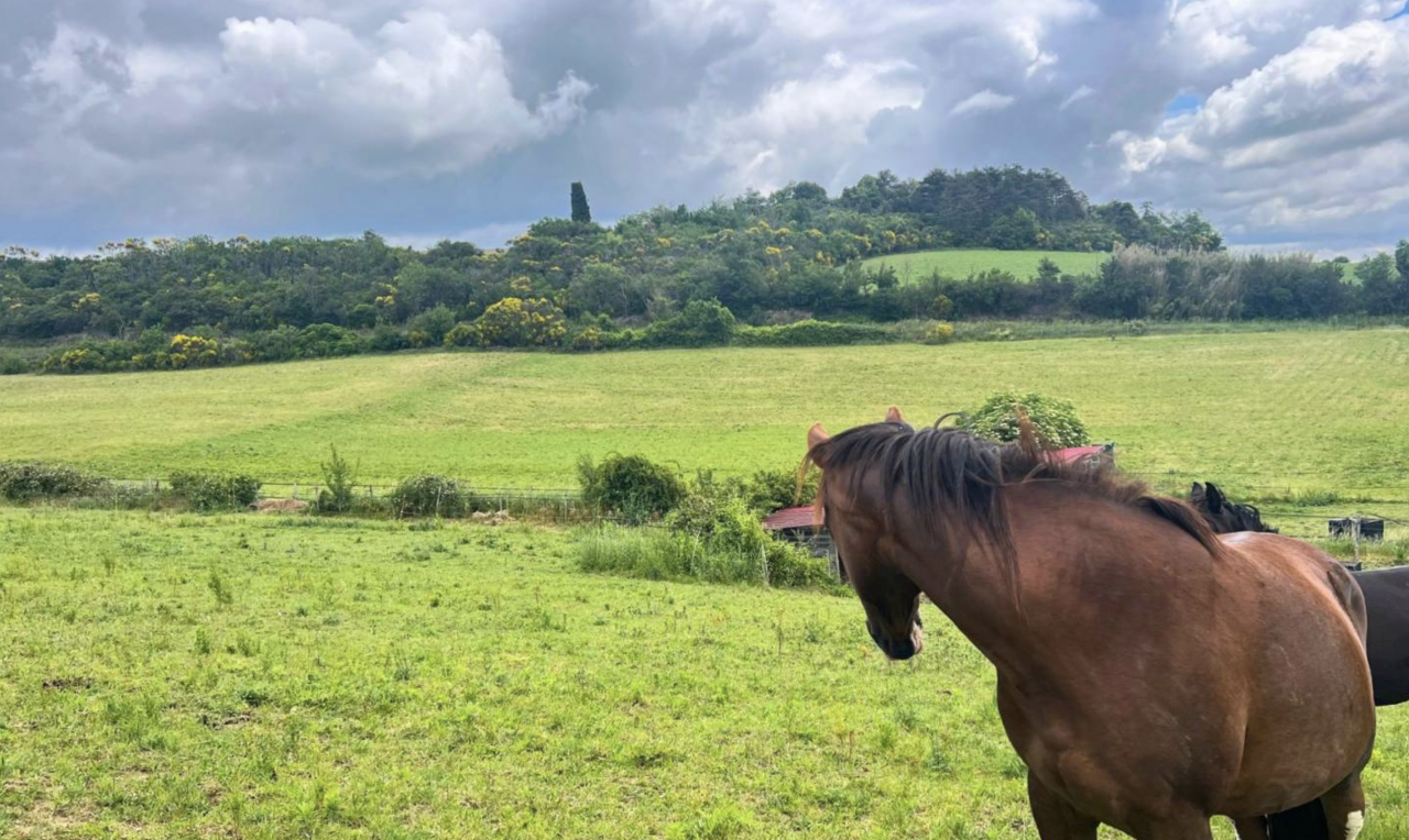 Hippisch vastgoed Koop Aude