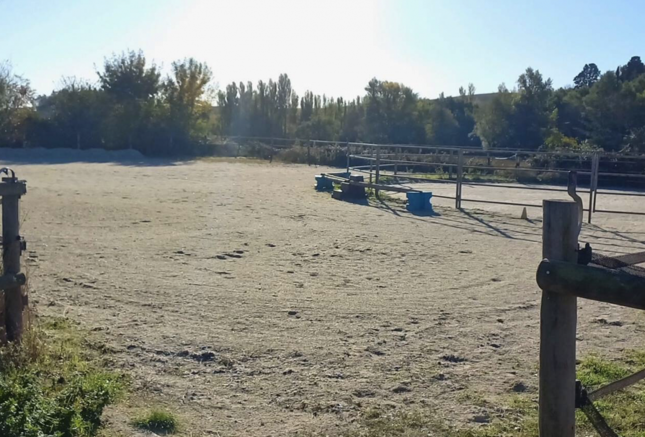Hippisch vastgoed Koop Aude