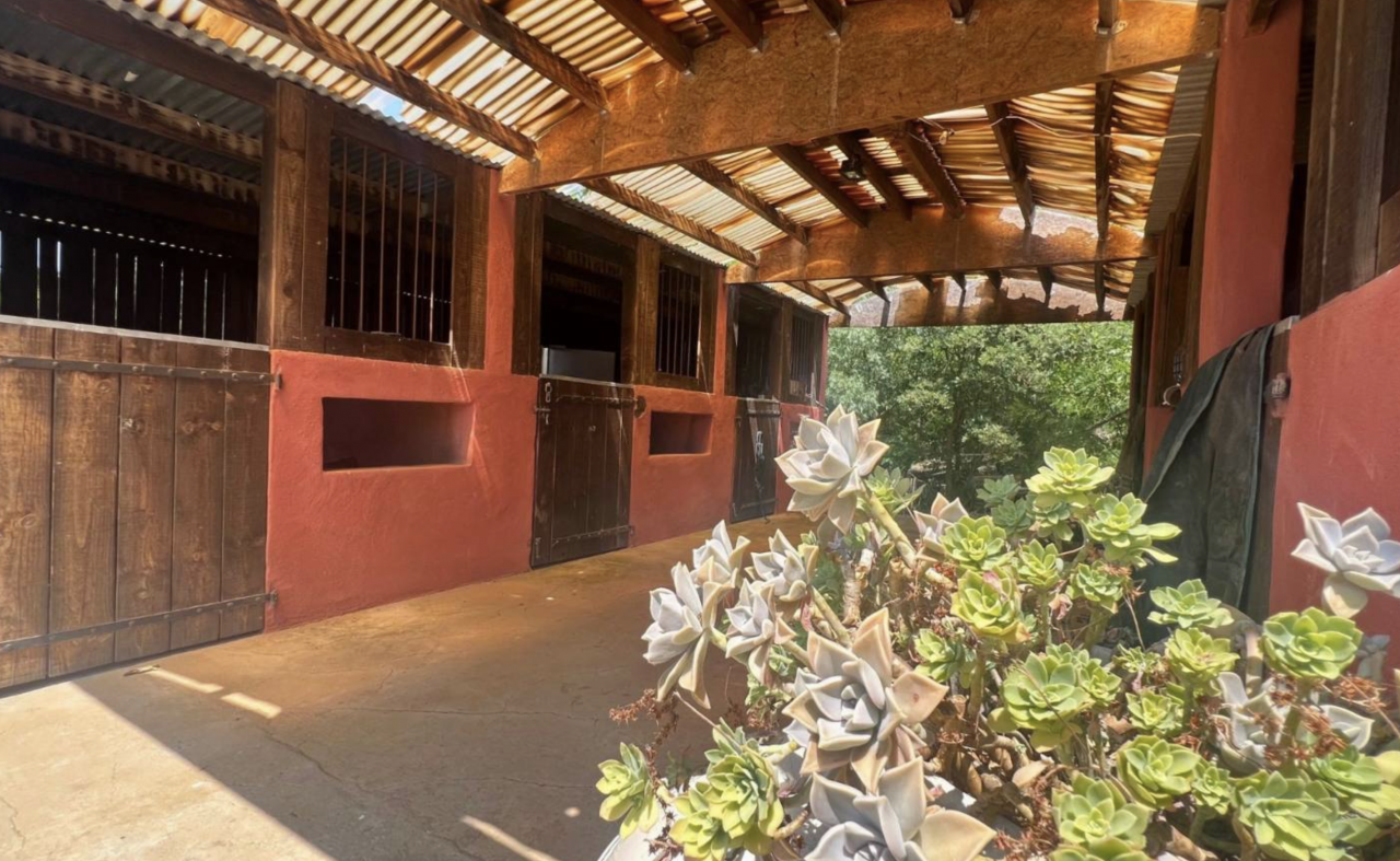 Hippisch vastgoed Koop Hérault