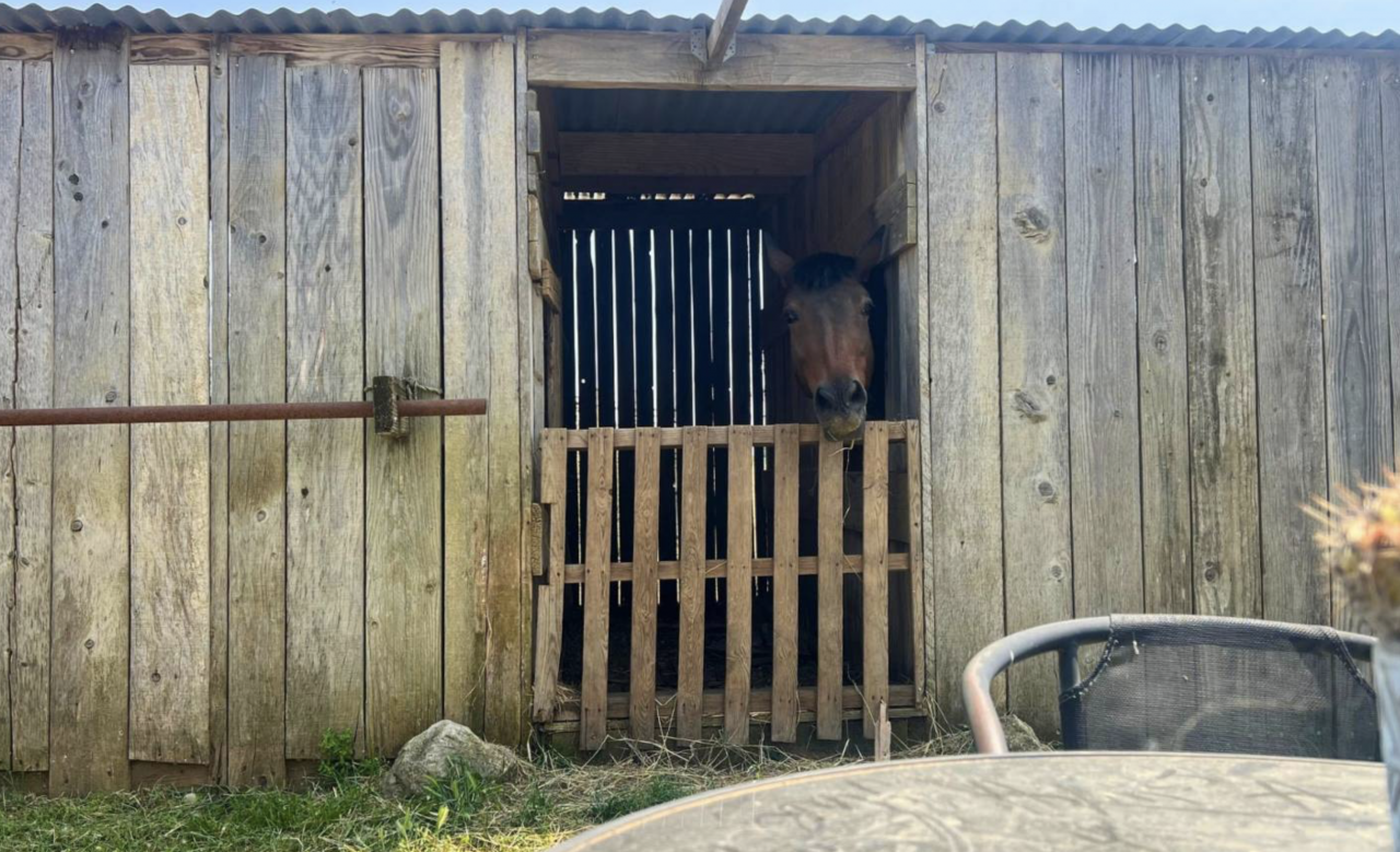 Hippisch vastgoed Koop Hérault