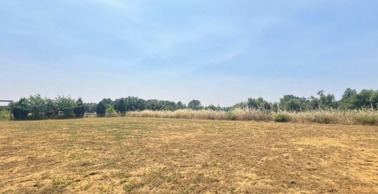 Hippisch vastgoed Koop Hérault