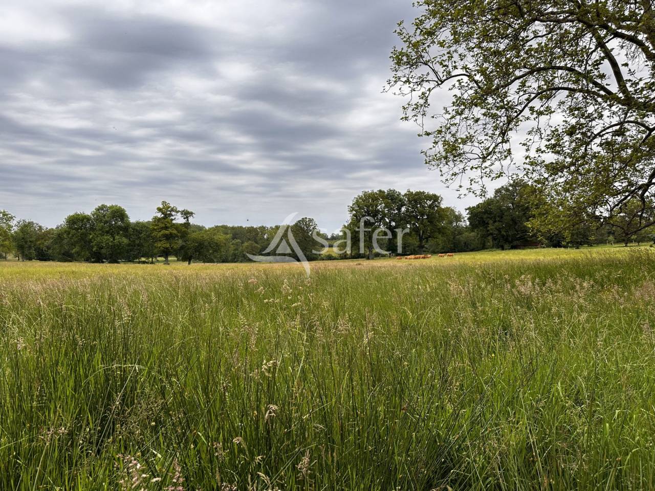 Landbouw bedrijf Koop Vienne