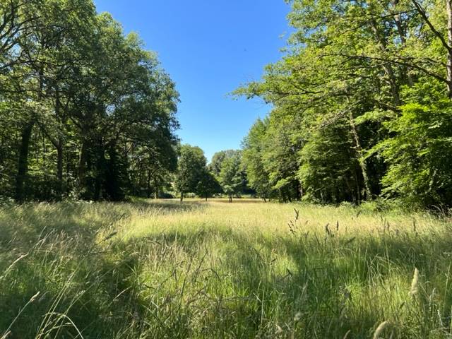 Mooi huis Koop Haute-Vienne