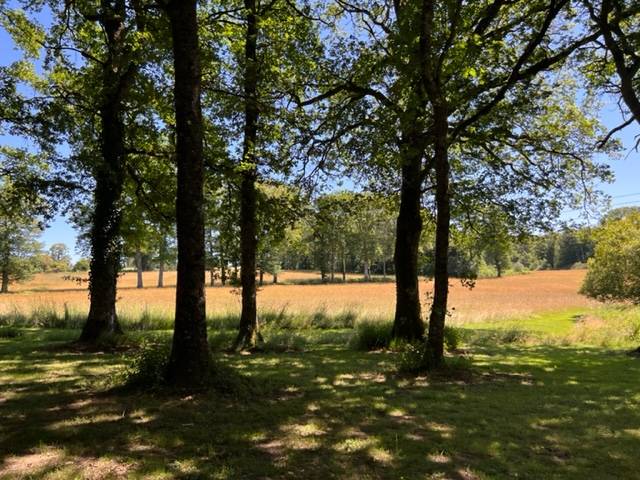 Mooi huis Koop Haute-Vienne