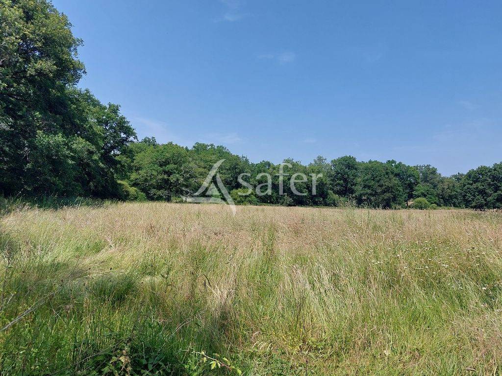 Ander plattelands vastgoed Koop Haute-Vienne