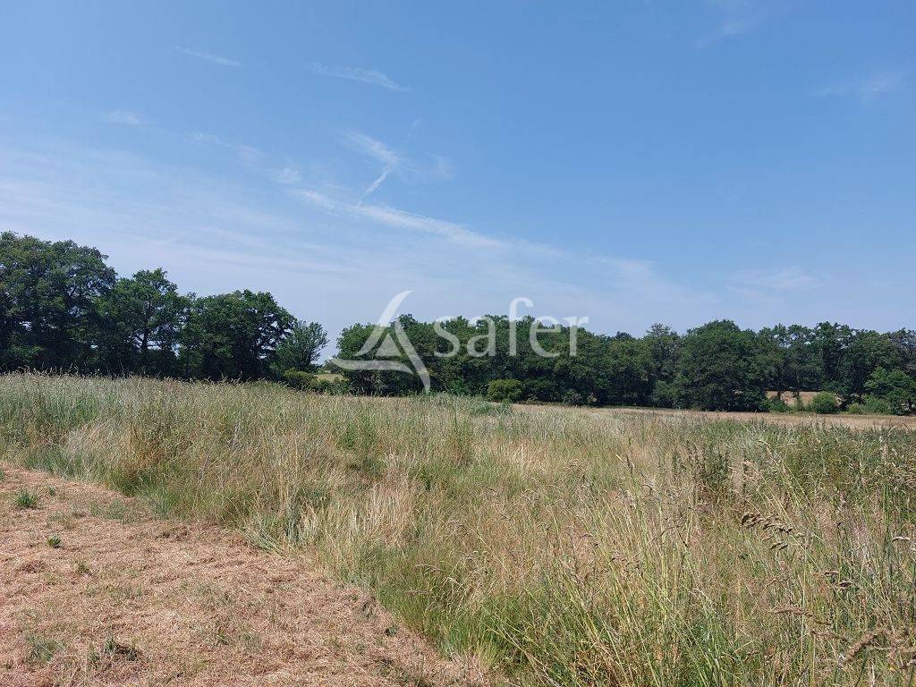 Ander plattelands vastgoed Koop Haute-Vienne