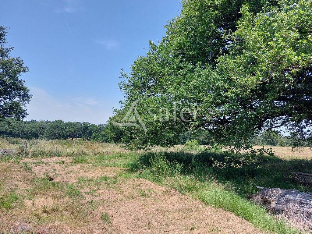 Ander plattelands vastgoed Koop Haute-Vienne