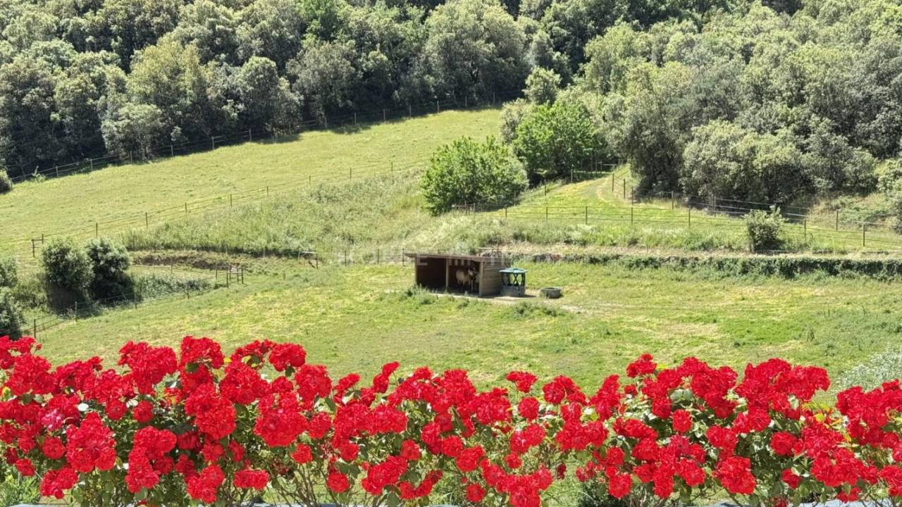 Hippisch vastgoed Koop Ardèche