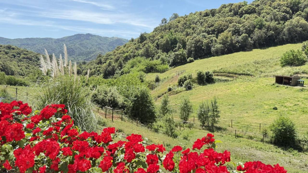 Hippisch vastgoed Koop Ardèche