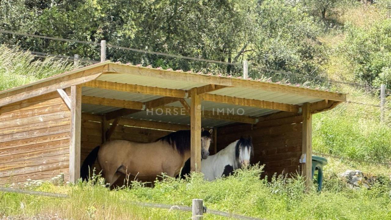 Hippisch vastgoed Koop Ardèche