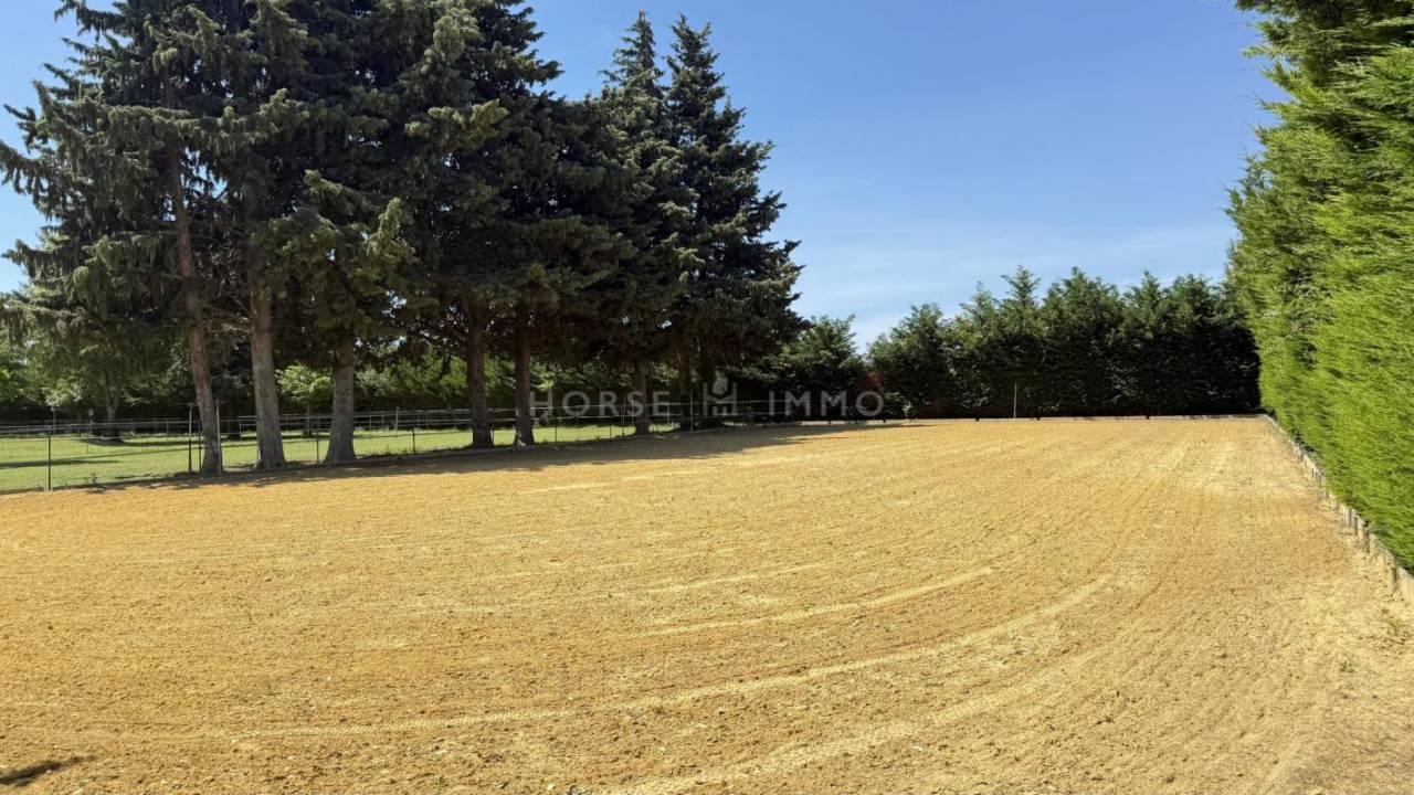 Hippisch vastgoed Koop Gard