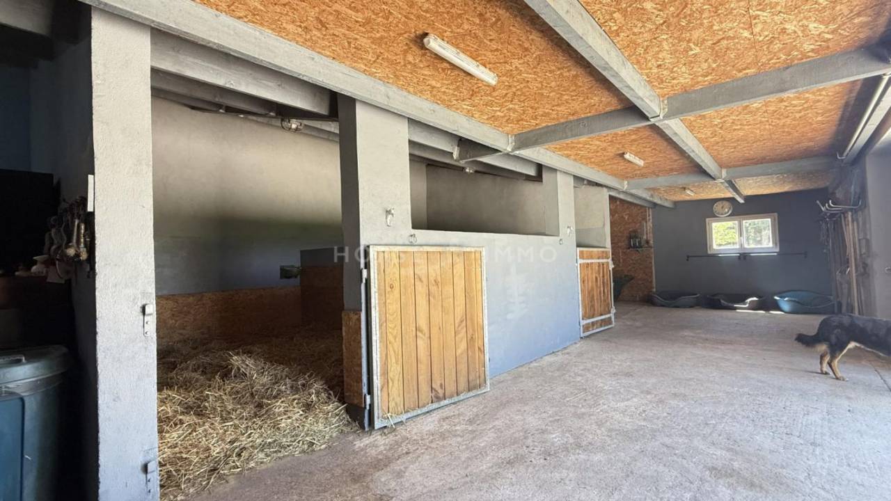 Hippisch vastgoed Koop Gard