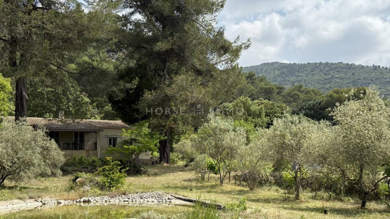 Hippisch vastgoed Koop Var
