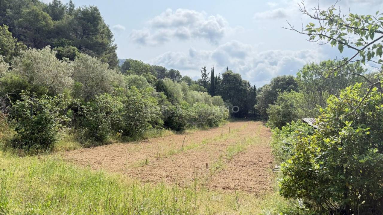 Hippisch vastgoed Koop Var