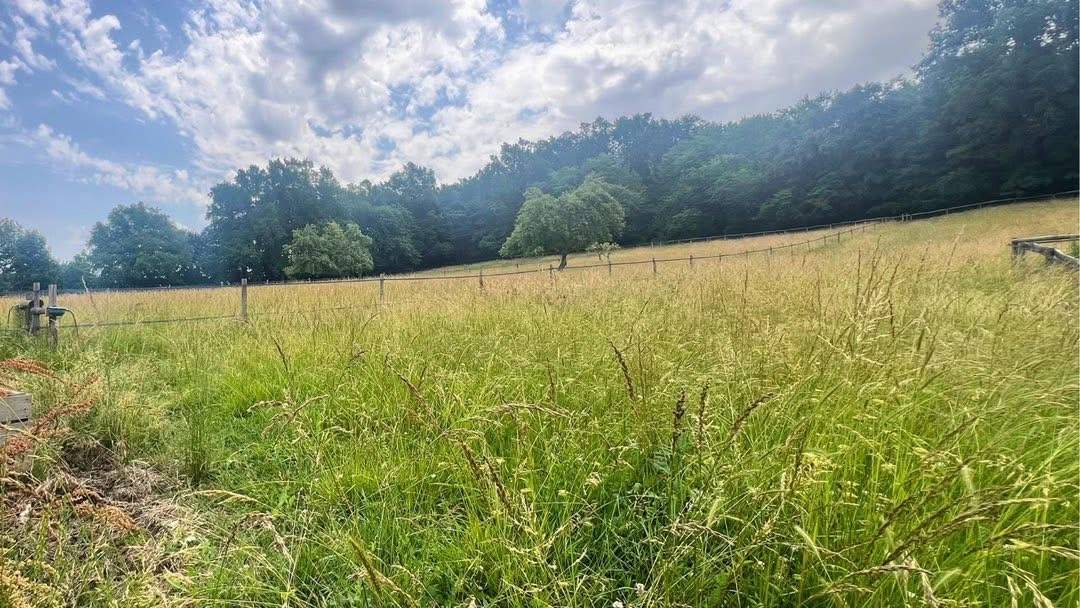 Hippisch vastgoed Koop Tarn-et-Garonne