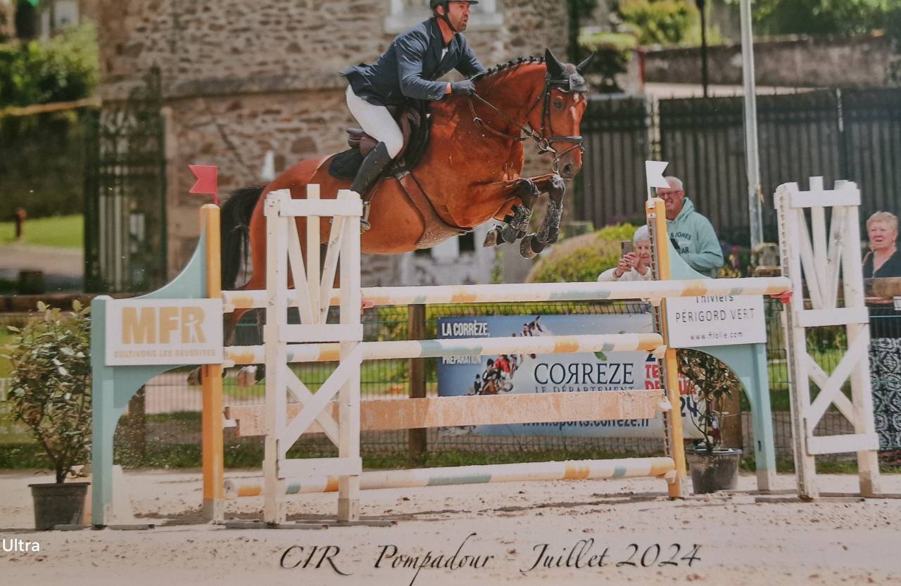 Ruin Selle Français Te koop 2018 Donker bruin / bai ,  AMANT DU CHATEAU