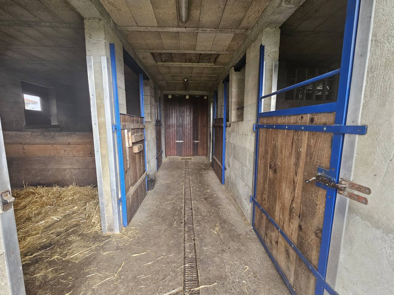 Hippisch vastgoed Koop Charente-Maritime