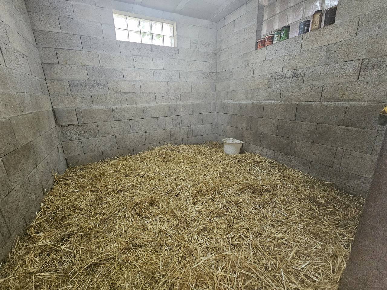 Hippisch vastgoed Koop Charente-Maritime