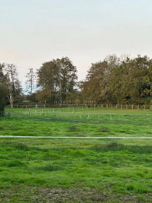 Hippisch vastgoed Koop Vendée