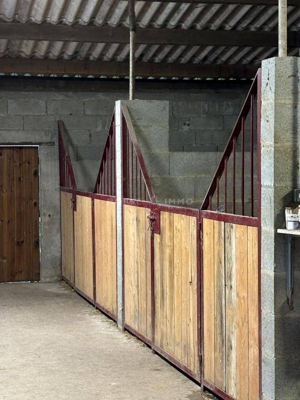 Hippisch vastgoed Koop Vendée