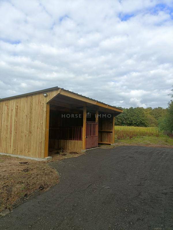 Hippisch vastgoed Koop Vendée