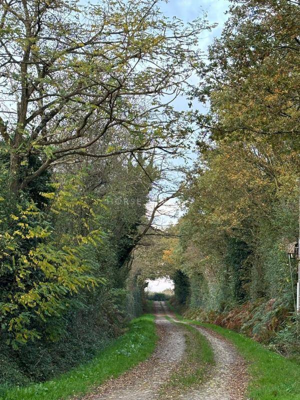 Hippisch vastgoed Koop Vendée