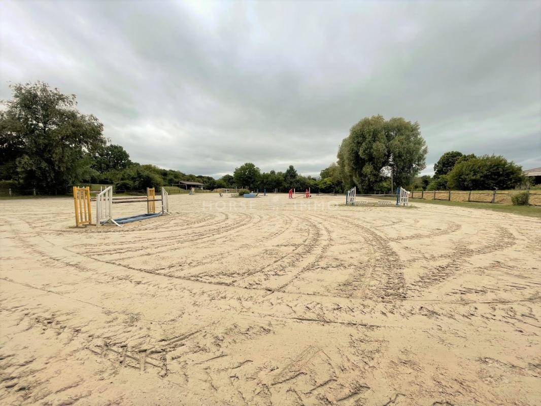 Stoeterij Koop Seine-et-Marne