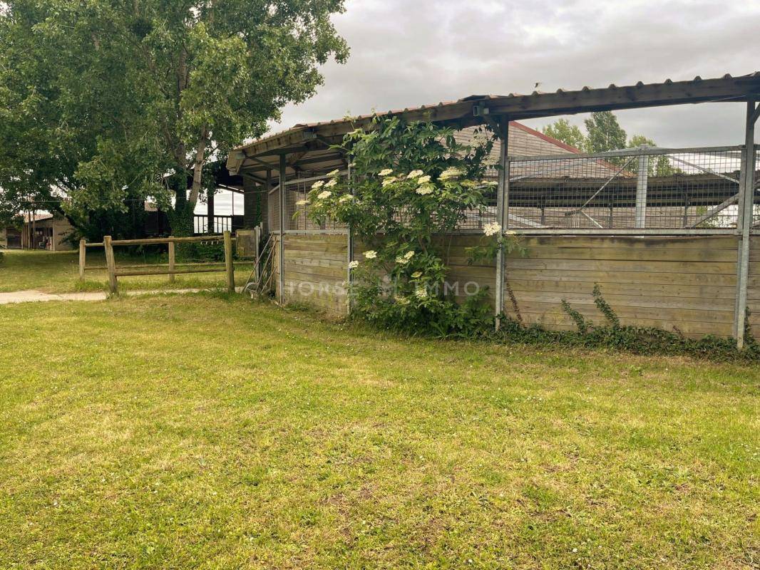 Stoeterij Koop Seine-et-Marne