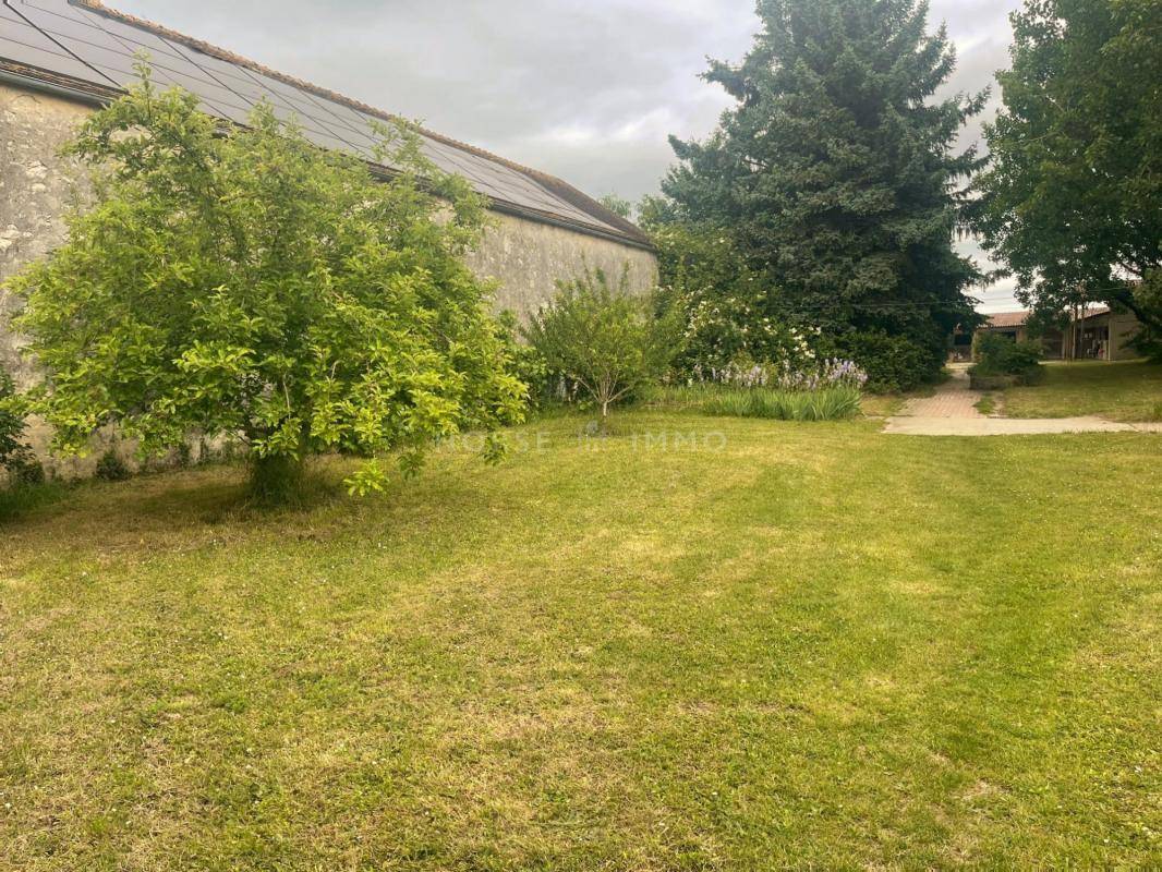 Stoeterij Koop Seine-et-Marne