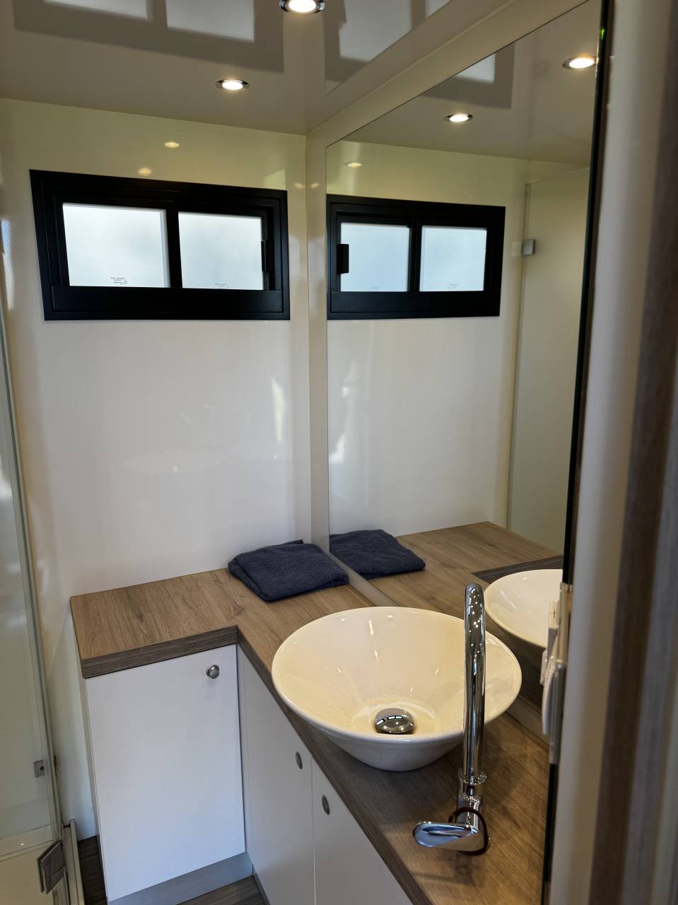 Mercedes actros 6 paarden