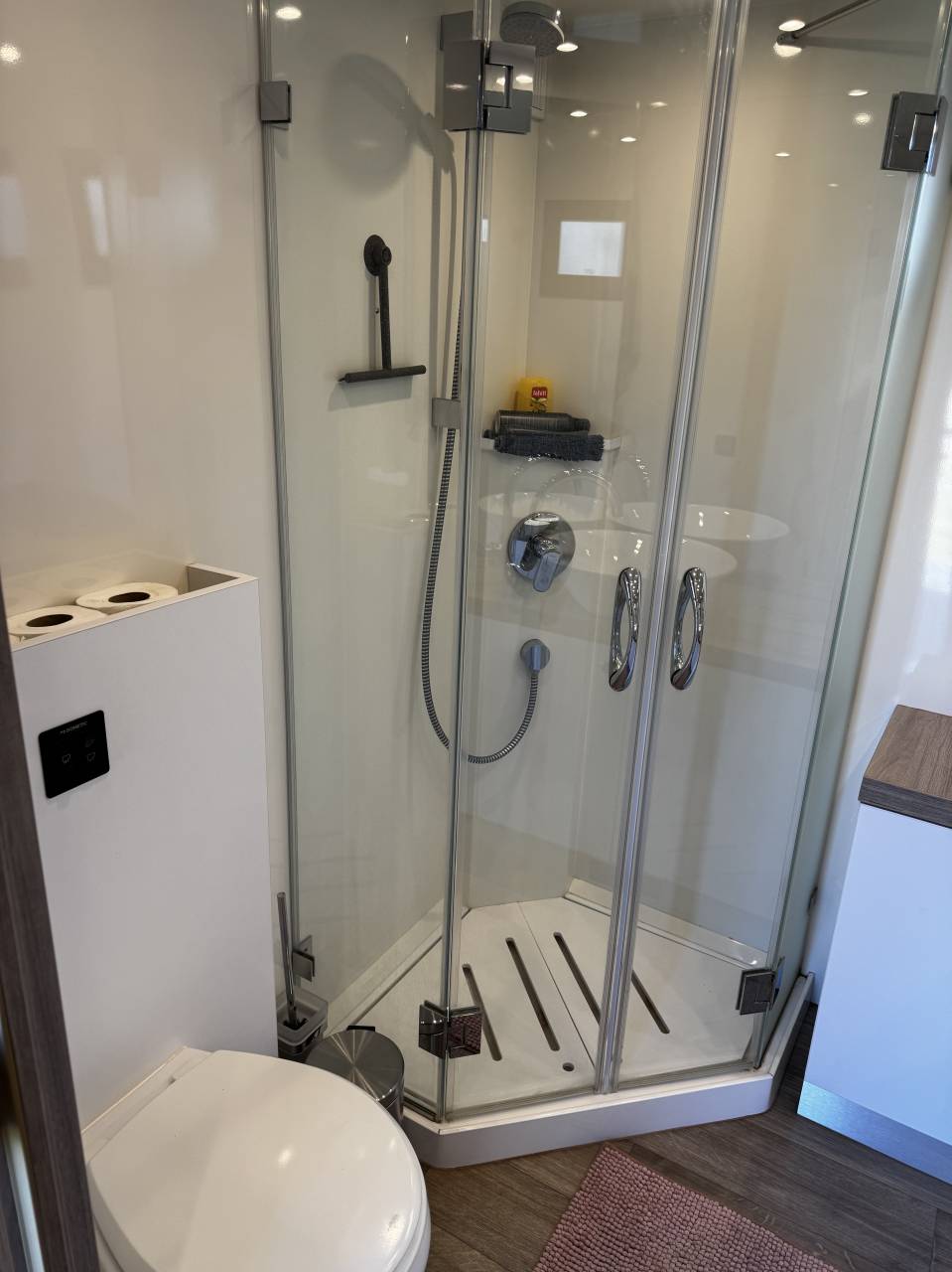 Mercedes actros 6 paarden