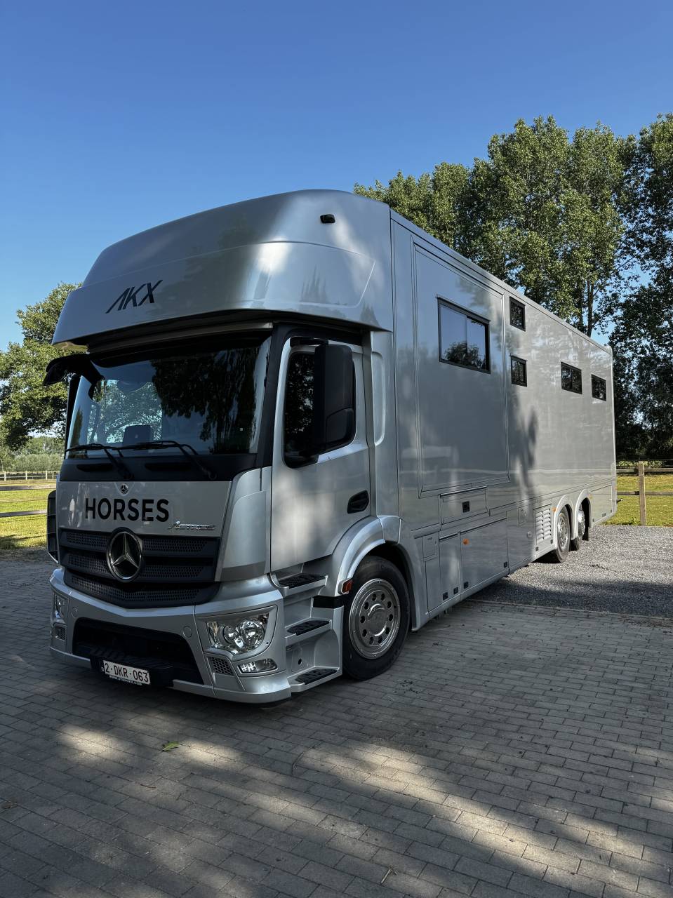 Mercedes actros 6 paarden