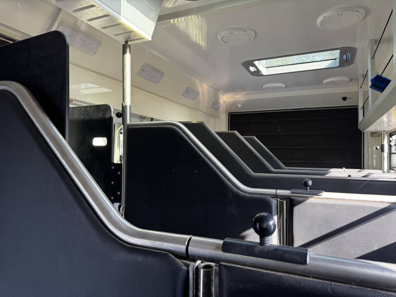 Mercedes actros 6 paarden