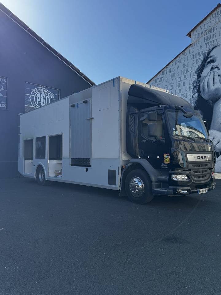 Zware paardenvrachtwagen (groot rijbewijs) Daf Conceptpgo 10 2019 Tweedehands