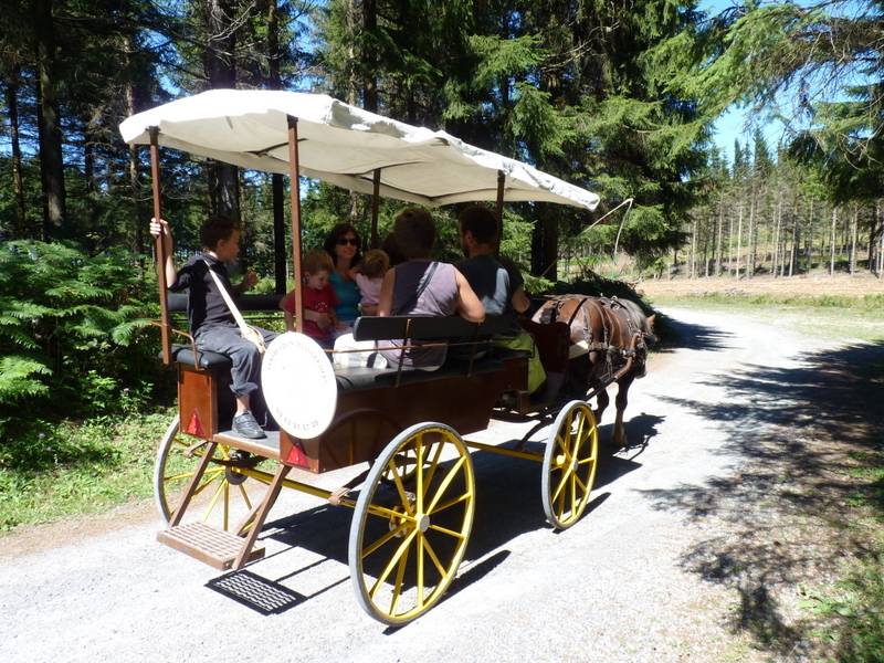 Rijtuigen - Wagonnette Berrard  