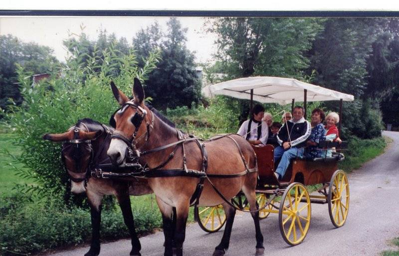Rijtuigen - Wagonnette Berrard  
