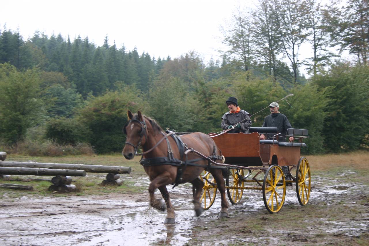 Rijtuigen - Wagonnette Berrard  