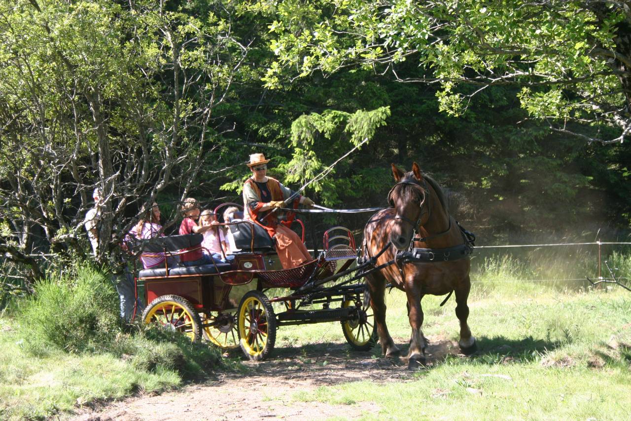 Rijtuigen - Break - Ander merk - marathon ralongé tourisme RANDO 