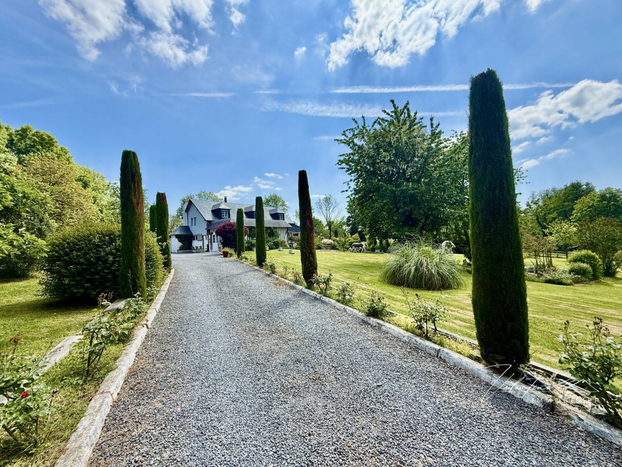 Hippisch vastgoed Koop Calvados