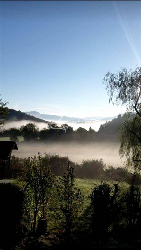 Landbouw bedrijf Koop Ain