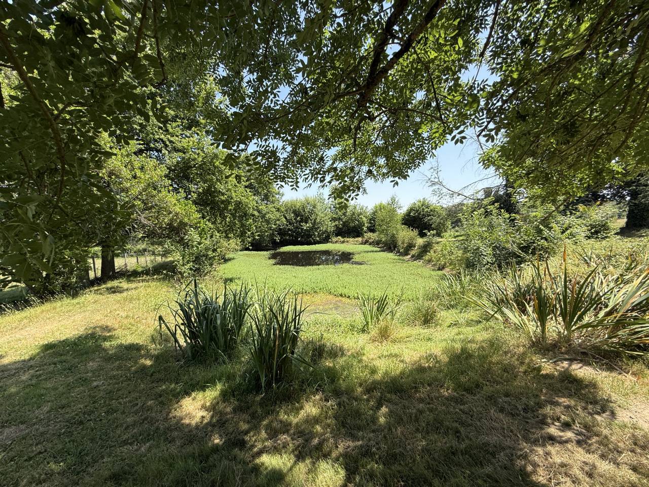 Hippisch vastgoed Koop Dordogne