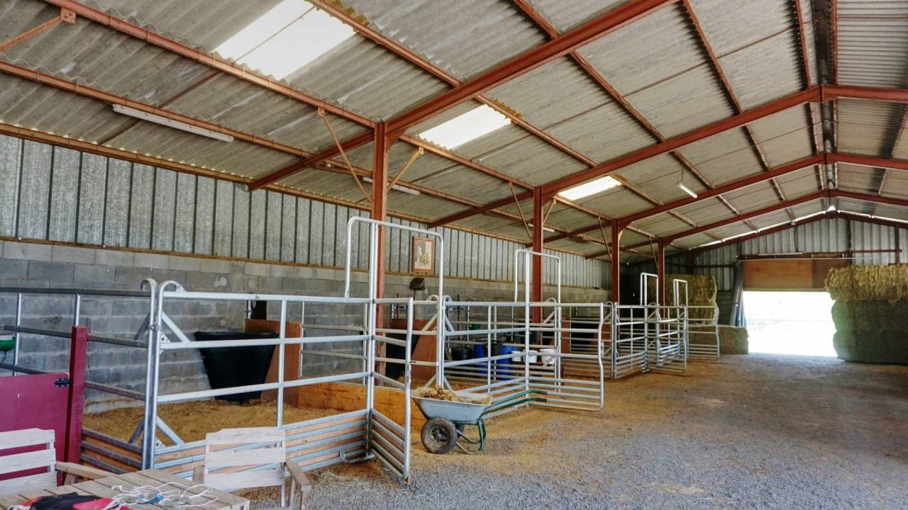 Hippisch vastgoed Koop Allier