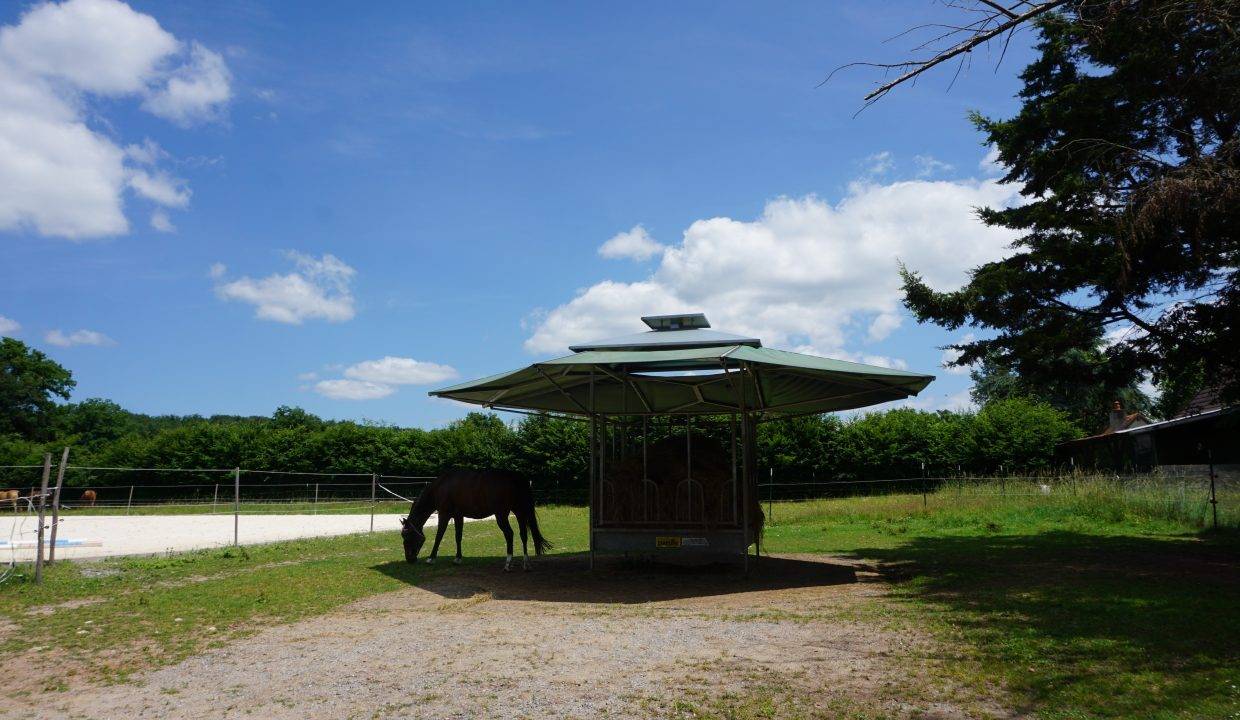 Hippisch vastgoed Koop Allier