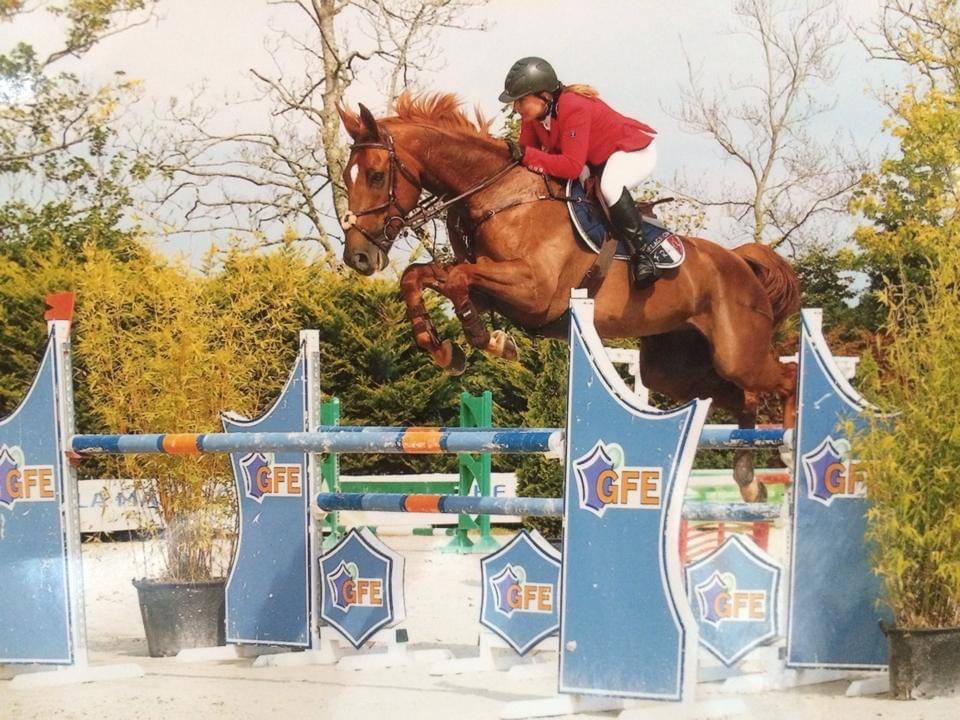 Ruin Selle Français Te koop 2024 Koffie vos