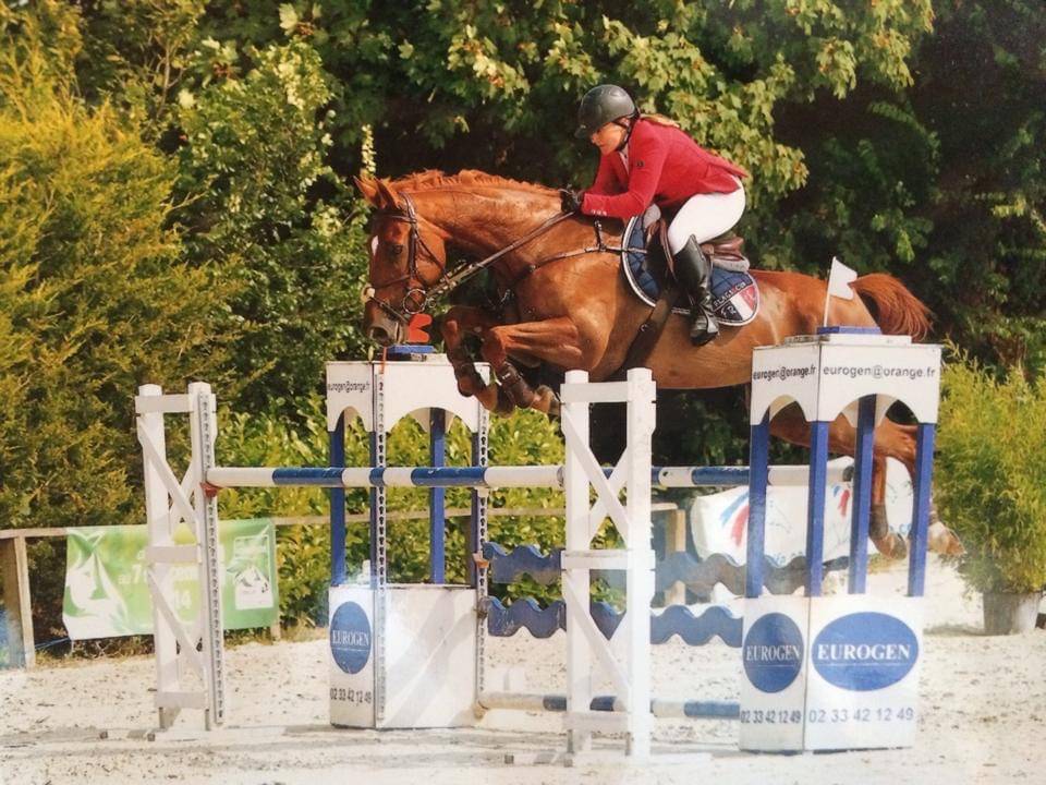 Ruin Selle Français Te koop 2024 Koffie vos