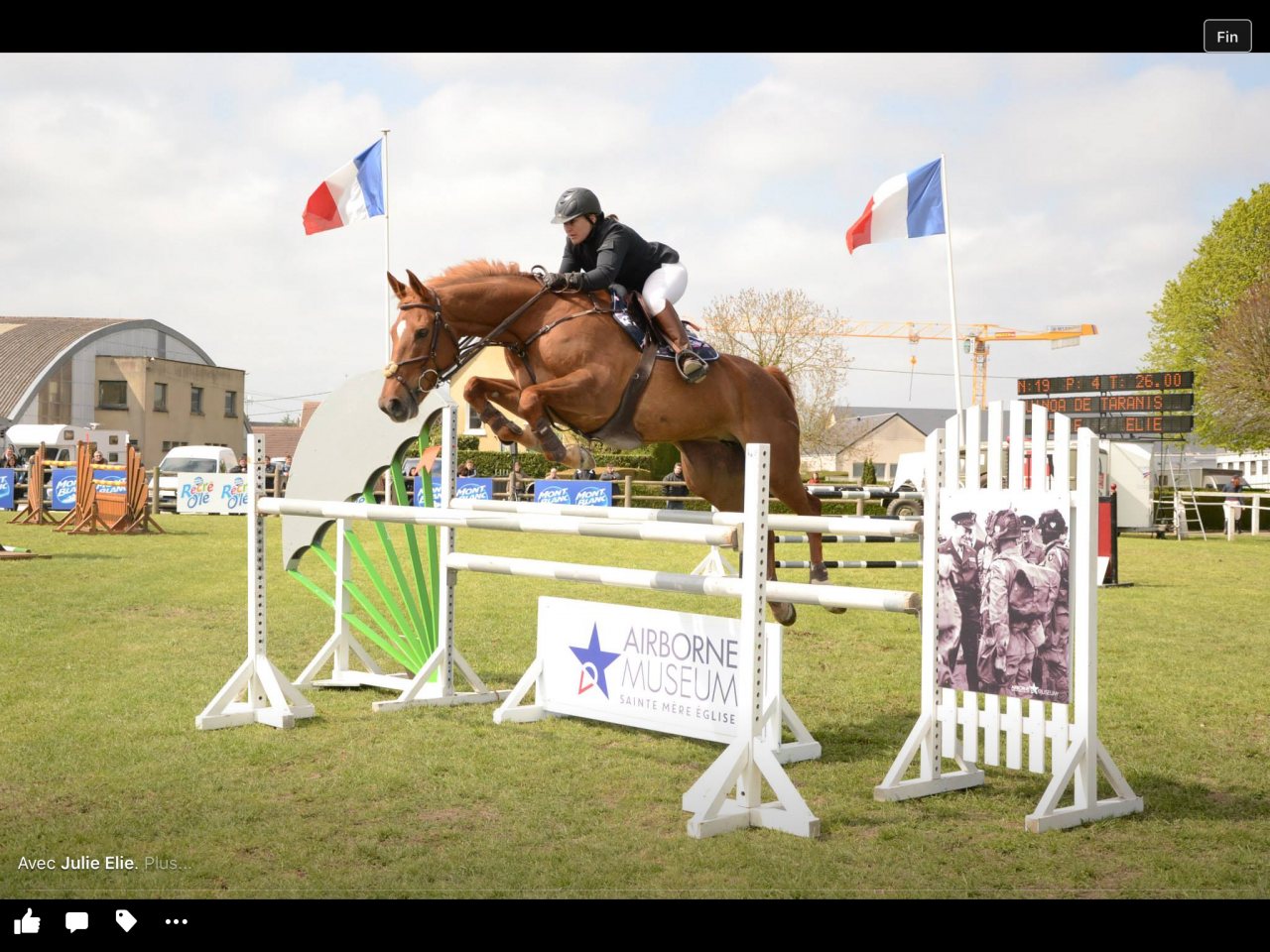 Ruin Selle Français Te koop 2024 Koffie vos