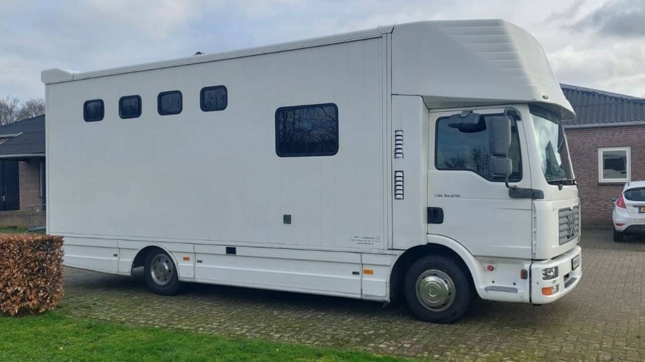 Zware paardenvrachtwagen (groot rijbewijs) Man MAN 0 Tweedehands