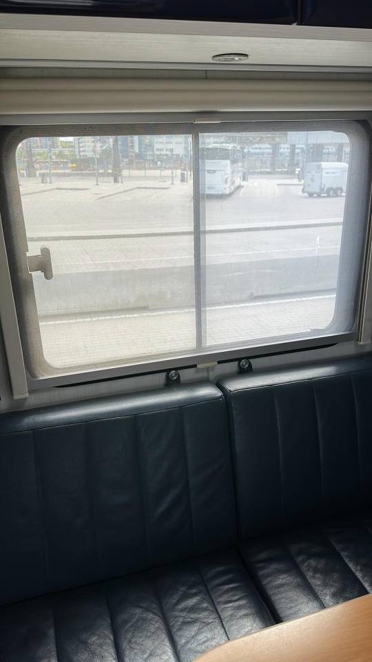 Zware paardenvrachtwagen (groot rijbewijs) Man MAN 0 Tweedehands