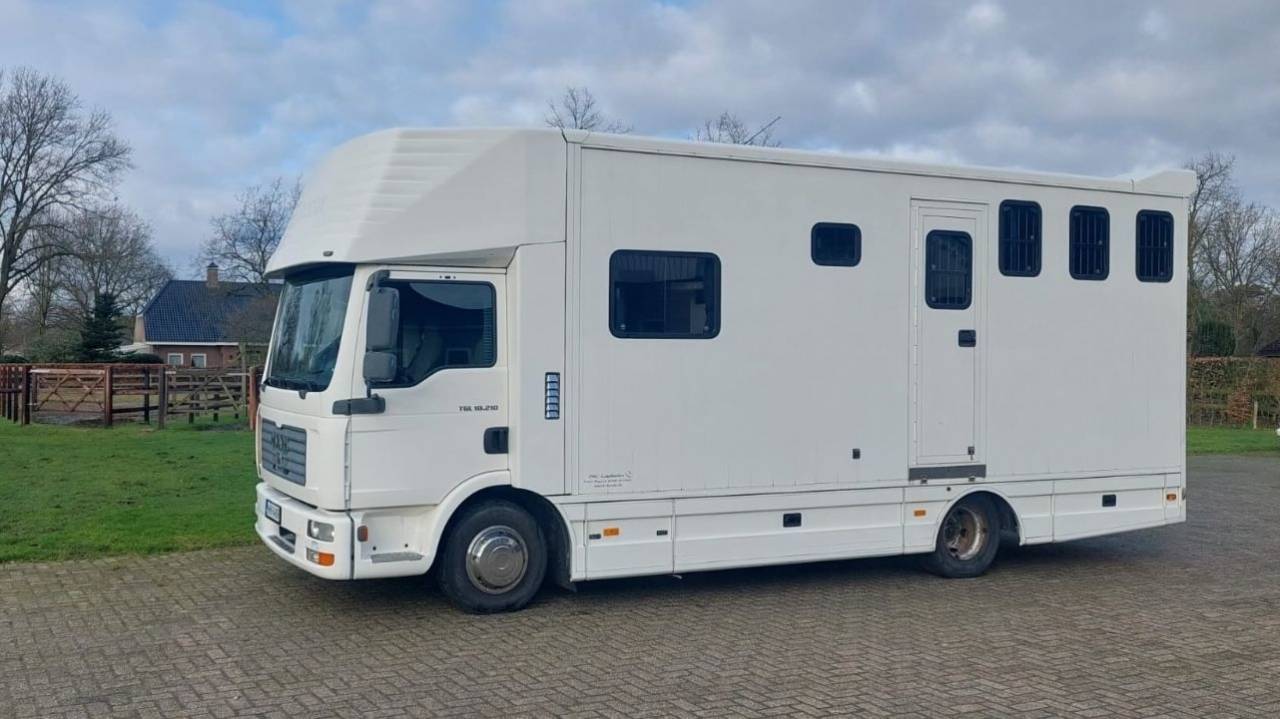 Zware paardenvrachtwagen (groot rijbewijs) Man MAN 0 Tweedehands