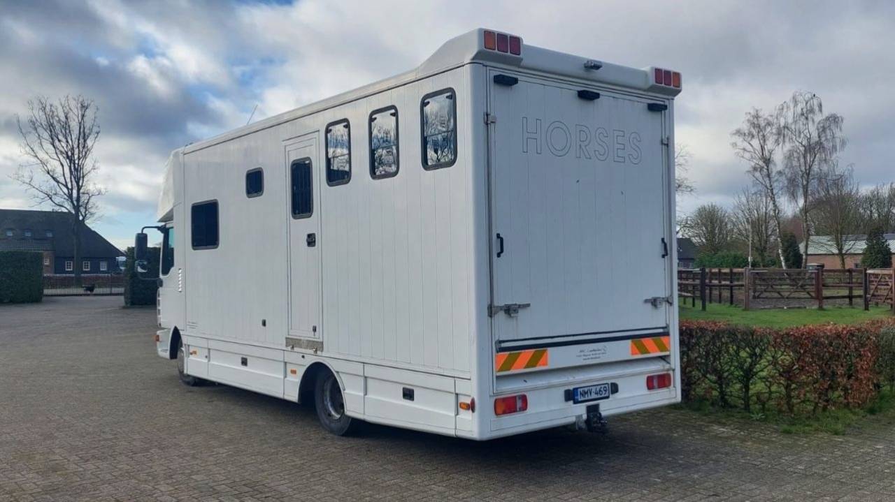 Zware paardenvrachtwagen (groot rijbewijs) Man MAN 0 Tweedehands